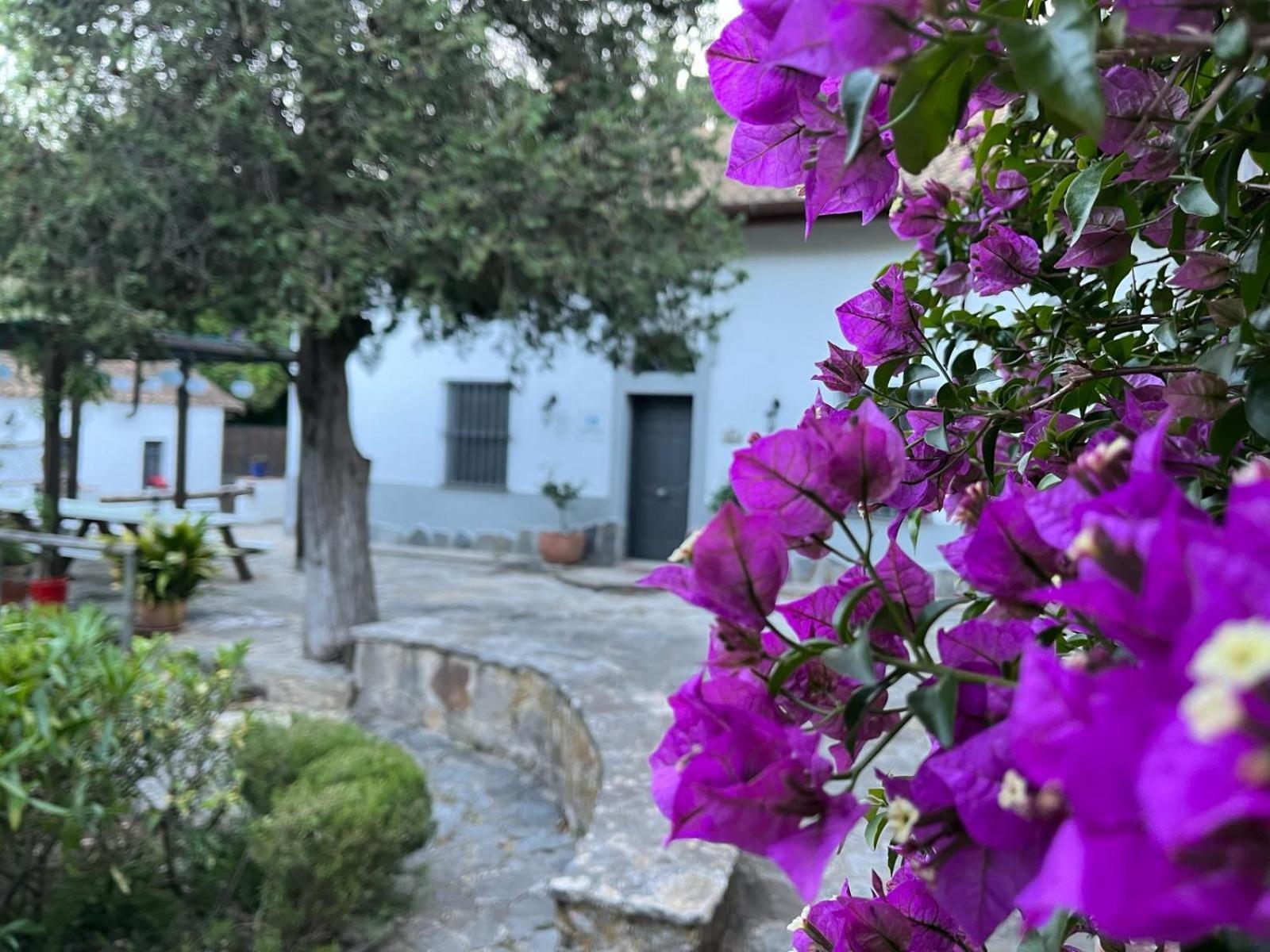Hostal Complejo Rural Huerta Grande Algeciras Exterior foto